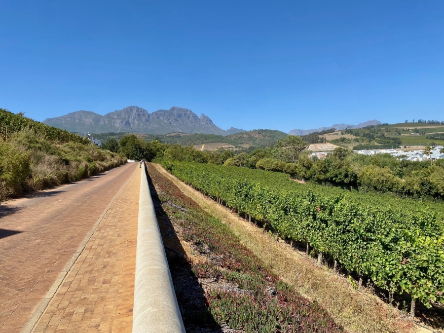 4 Bedroom Property for Sale in Weltevreden Hills Estate Western Cape